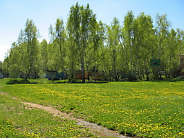 Территория