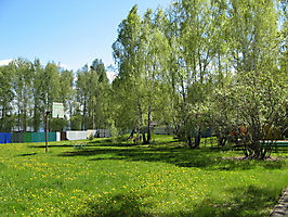 Территория_5